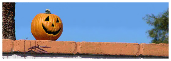 Generic Halloween photo (with a fake pumpkin)